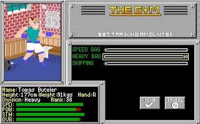 Image result for 4D Sports Boxing