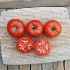 Afbeeldingsresultaat voor kosmonaut volkov 68D tomato