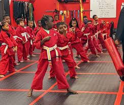 Image result for Martial Arts University Charlotte