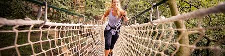 Image result for Go Ape! Leeds Castle