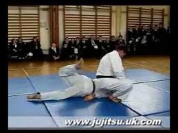 Image result for Ju Jitsu Tavistock