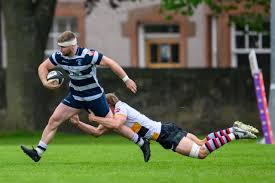 Image result for Stirling Wolves
