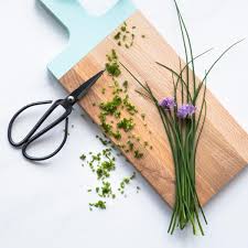 Image result for Schnittlauch