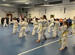 Image result for Abbey Fit Tae Kwon Do