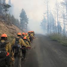 Image result for Hotshots