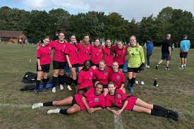 Image result for Beecholme Belles Banstead FC