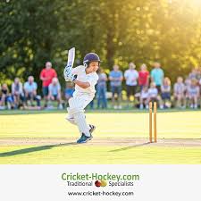 Image result for Letchworth Cricket Club