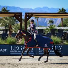 Image result for South Weylands Equestrian