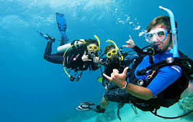 Image result for Blue Water Diving