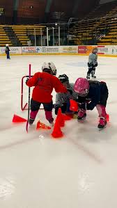 Image result for New Milton Hockey Club