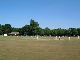 Image result for Crathorne Cricket Club