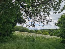 Image result for Cambridge Rambling Club