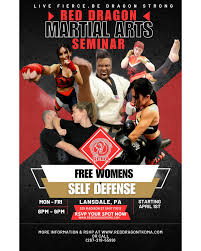 Image result for Red Dragon Taekwondo club