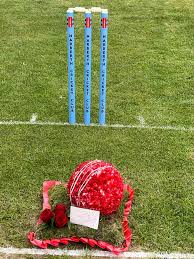 Image result for Narberth Cricket Club