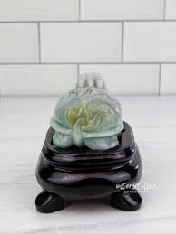 Αποτέλεσμα εικόνας για jade dragon turtle