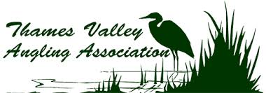 Image result for Byfleet Angling Association