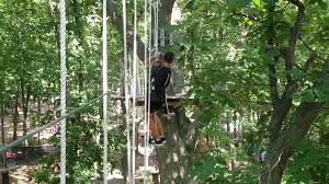 Image result for Buckhurst Hill Cricket & Lacrosse Club