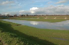 Image result for Dunham Massey Angling Club