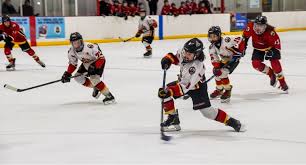 Image result for Manchester Roller Hockey Club