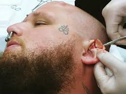 Image result for ear mod