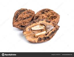 Attēlu rezultāti vaicājumam “Juglans mandshurica”