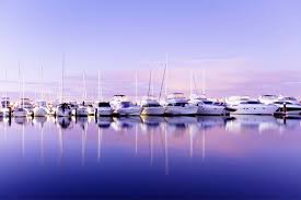 Image result for Tamesis Club