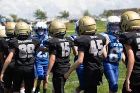 Image result for New Latchingdon Youth Football Club