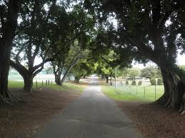 Image result for Musgrave Bowling Club