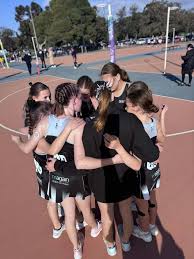 Image result for Raychem Netball Club