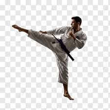 Image result for Action Karate