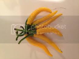 Afbeeldingsresultaat voor thai yellow hot pepper