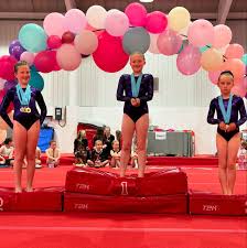 Image result for Swallows Of Helston Gymnastics Club