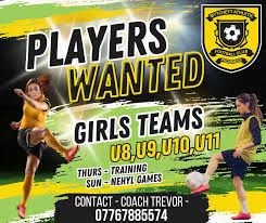 Image result for Mytchett Athletic Football Club