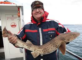 Image result for Paignton Sea Anglers Association