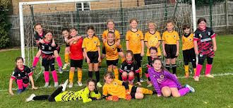 Image result for United in the Community - Boston Player Development Centres