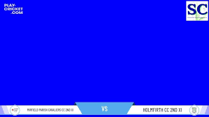 Image result for Holmfirth Cc