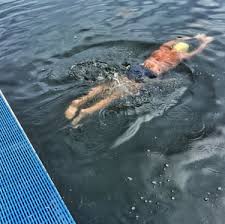 Image result for Serpentine Swimming Club