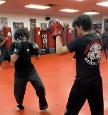 Image result for Windsor Karate Club