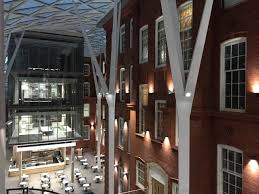 Image result for University of Sheffield Ultimate- Phat 'eds