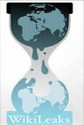 Wikileaks: Lessons For Consumer Privacy | Center for Internet and ...