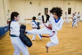 Image result for Bytomic Taekwondo