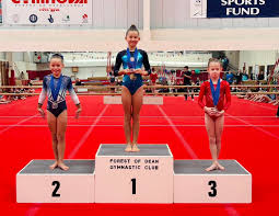 Image result for Bristol Hawks Gymnastics Club