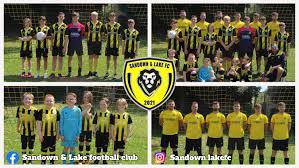Image result for Sandown Sports Club