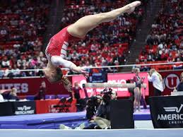 Image result for Abbey Fit Gymnastics