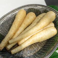 Image result for Pastinake