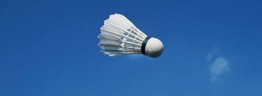 Image result for Hoebridge Junior Badminton Club