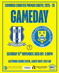 Image result for Epsom & Ewell Football Club