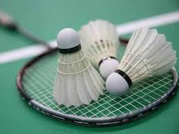 Image result for Guildford and District Badminton League