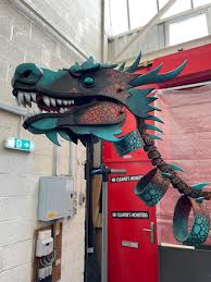 Image result for leicester dragons