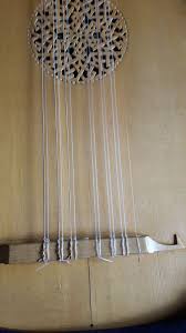 Image result for selvatici tehron